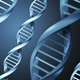 Image for article titled Oldest known DNA fragment is over a billion years old